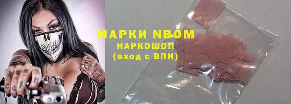PSILOCYBIN Алзамай