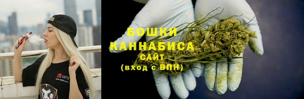 PSILOCYBIN Алзамай