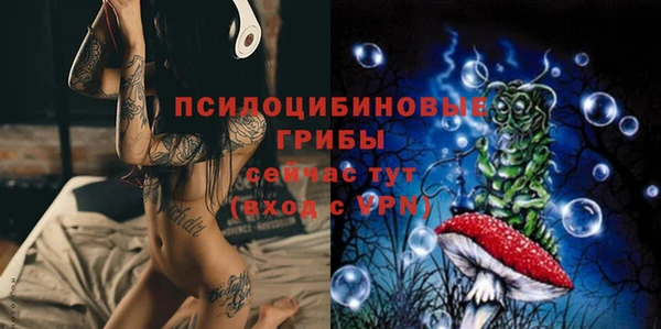 PSILOCYBIN Алзамай