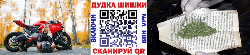 ссылка на мегу tor купить закладку Дно Шишки марихуана марихуана